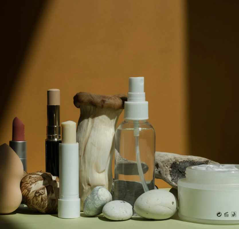 Fashion & Beauty